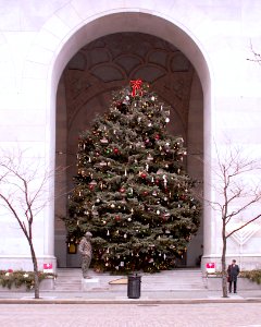 Christmas Tree and Menorah, City-County Building, Pittsburgh, 2020-01-07