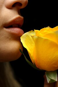 Yellow flower model