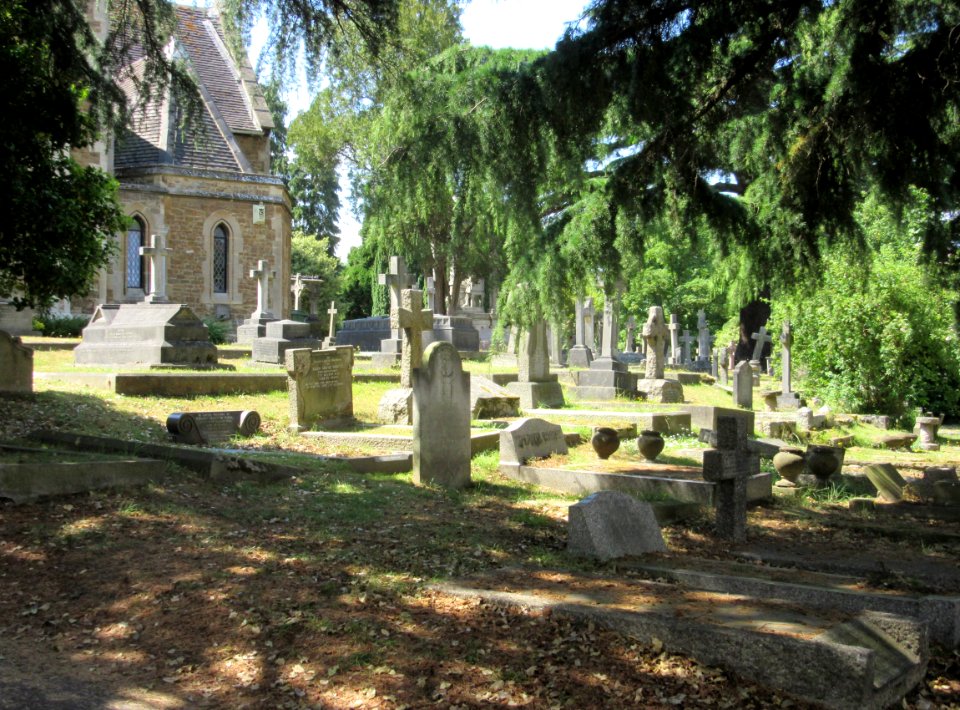 Christ Church, Church Street, Esher (June 2015) (Churchyard)