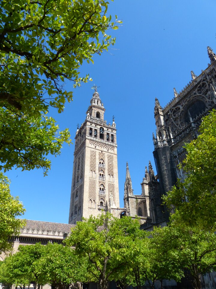 Plaza virgen de los reyes seville andalusia