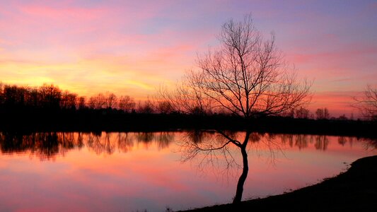 Tree reflection peaceful