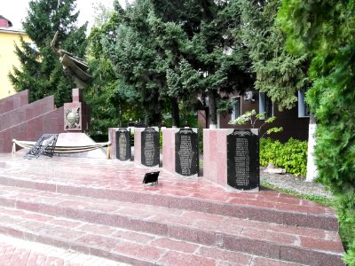 Church of Saint Vladimir - Lipetsk(5)