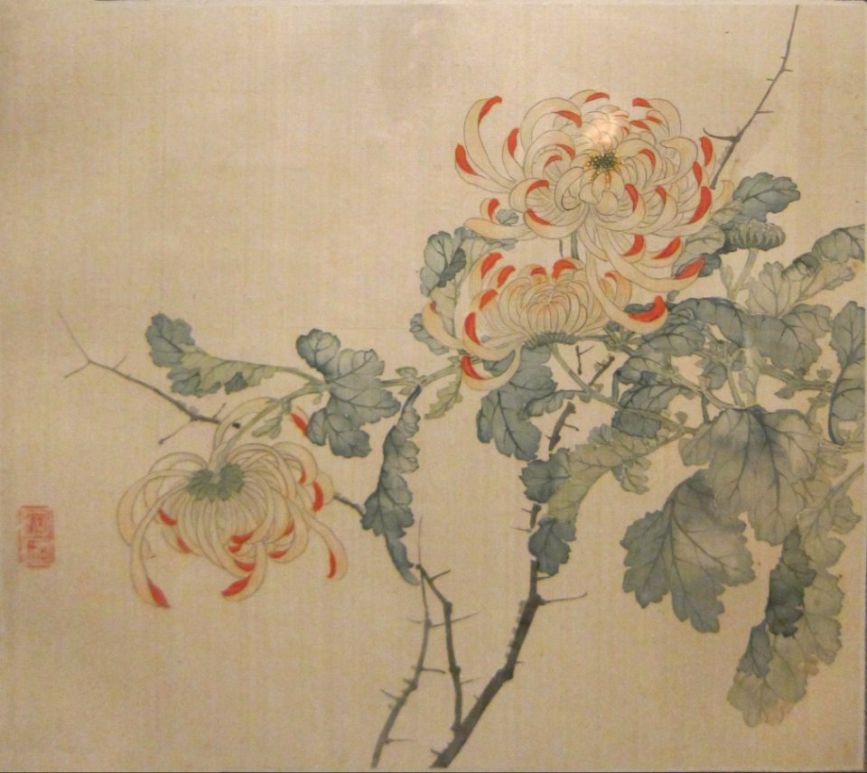 Chrysanthemums from 'Album of Flower Paintings' by Tao Rong, Honolulu Museum of Art