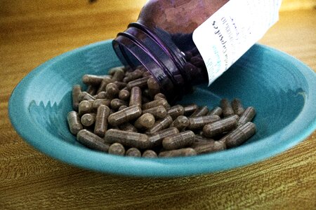 Placentophagy pregnancy pregnant