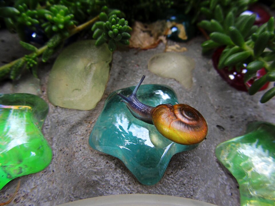 Blue snail salt lake city utah