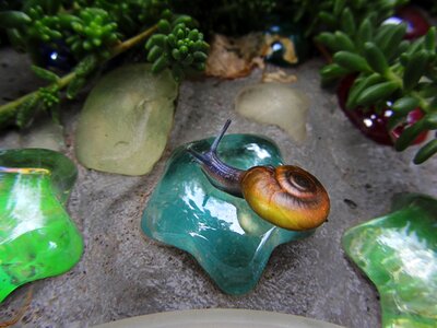 Blue snail salt lake city utah
