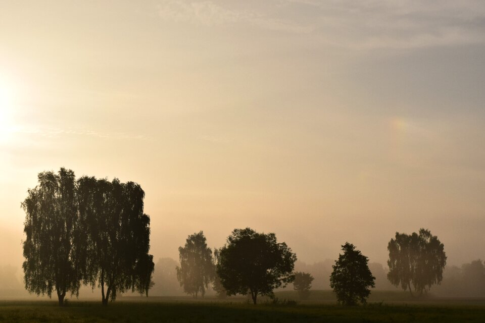 Nature sunrise mysthisch