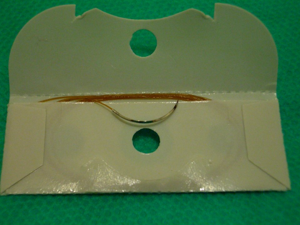 CHROMIC (sterilized surgical suture) 02