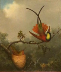Crimson Topaz by Martin Johnson Heade