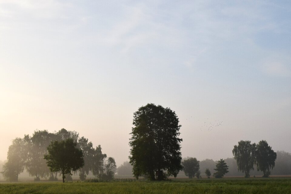 Nature sunrise mysthisch