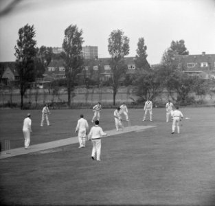 Cricket VOC tegen HCC te Rotterdam, spelmoment, Bestanddeelnr 916-5616