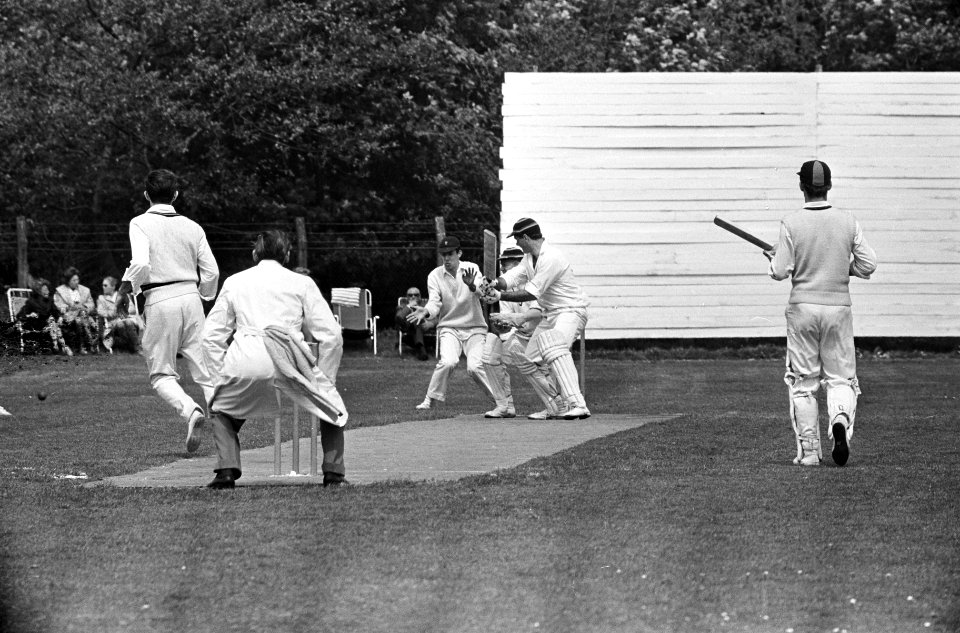 Cricket Roodwit tegen Quick, spelmoment, Bestanddeelnr 917-7793