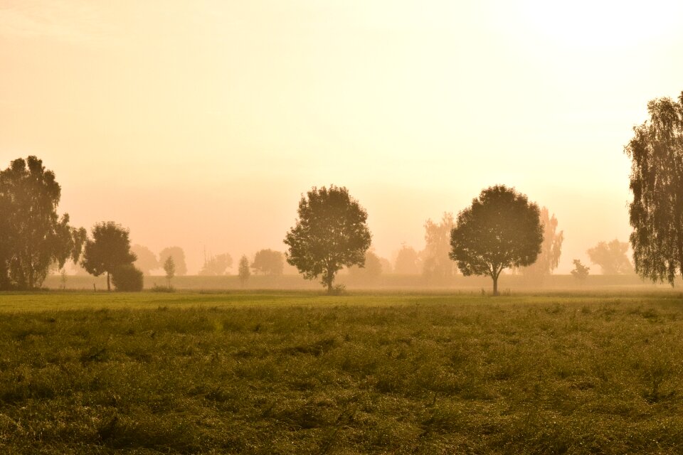 Nature sunrise mysthisch