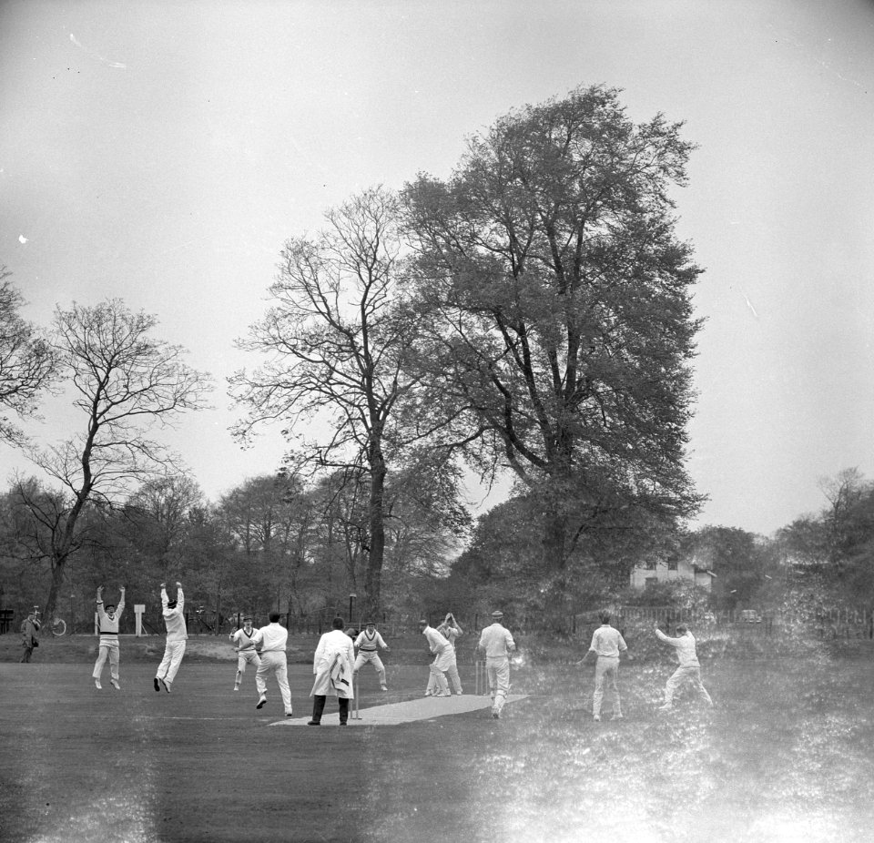 Cricketseizoen geopend Haarlem tegen VRA Spelmoment voor de Lunch, Bestanddeelnr 915-1511