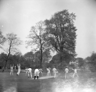 Cricketseizoen geopend Haarlem tegen VRA Spelmoment voor de Lunch, Bestanddeelnr 915-1511