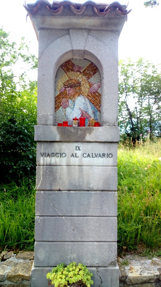 Crucis9