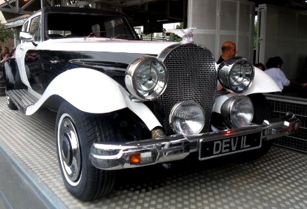 Cruella de Vil Panther 2