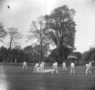 Cricketseizoen geopend Haarlem tegen VRA Spelmoment voor de Lunch, Bestanddeelnr 915-1509