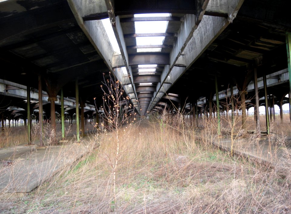 CRRNJ shed inside jeh