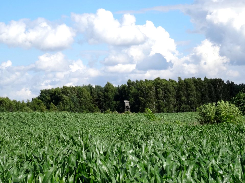 Chrosna 8 7-2015