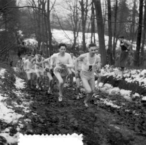 Crossloop kampioenschap van Nederland te Arnhem, Bestanddeelnr 908-3495