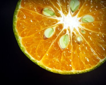 White citrus sour