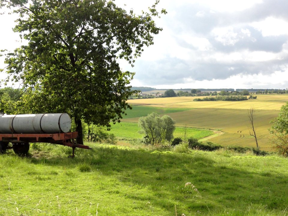 Crion (M-et-M) paysage