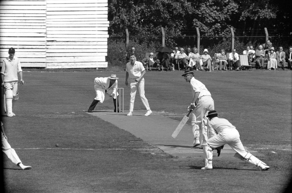 Cricket Rood en Wit tegen HCC aan bat Colthof op de rug gezien de wicketkeeper E, Bestanddeelnr 914-2187