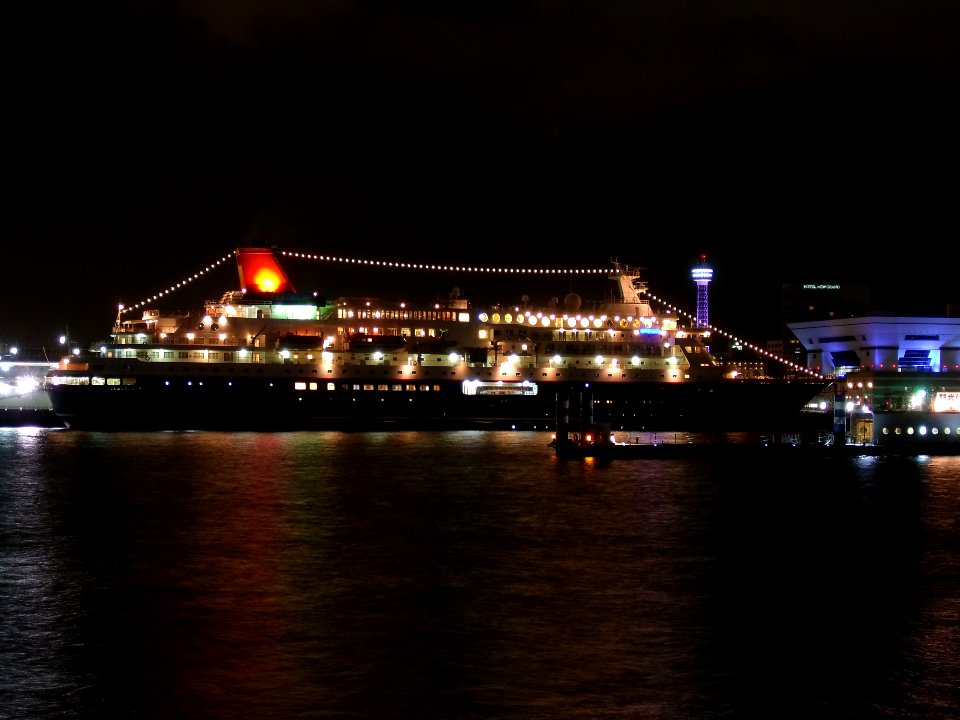 Cruise ship Nippon Maru after the great remodeling in Osanbashi at night 20110119