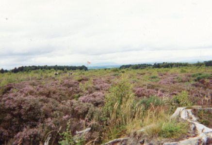 Culloden 2000-4-fields