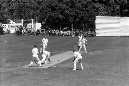 Cricket Rood en Wit tegen Haarlem Aan batch voor Haarlem Maas en Luining (met b, Bestanddeelnr 915-3860