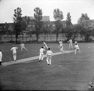 Cricket VOC tegen HCC te Rotterdam, spelmoment, Bestanddeelnr 916-5615