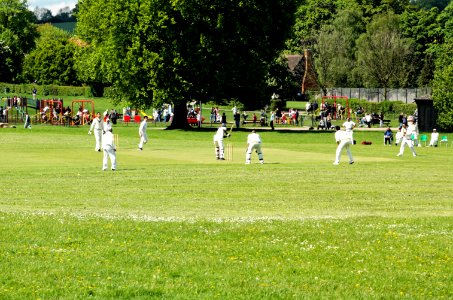 Cricket-Verulamium-Park-20050508-001