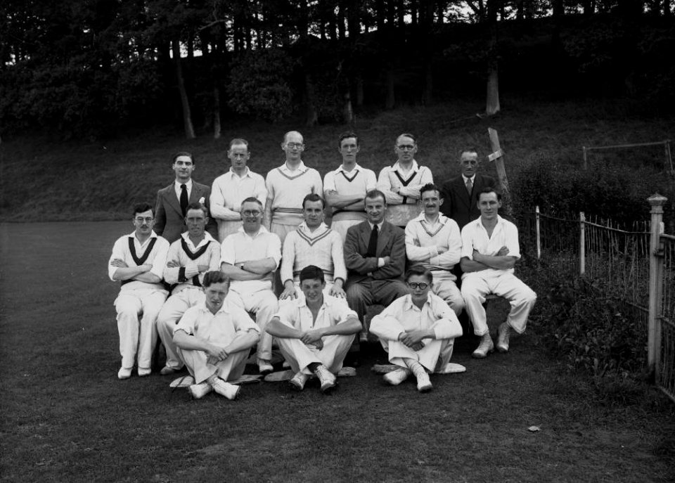 Cricket XI team, Radnorshire (1294101)
