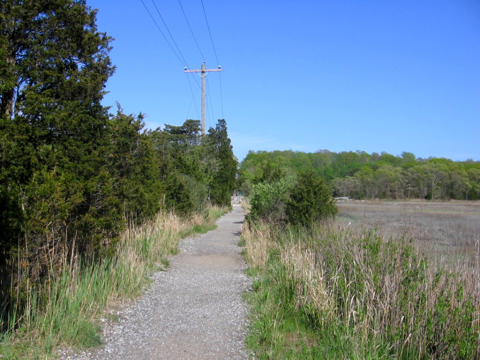 Crushed stone path Branford Trolley Trail 199