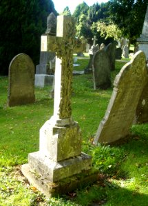 CrossWithPlantFosterHill