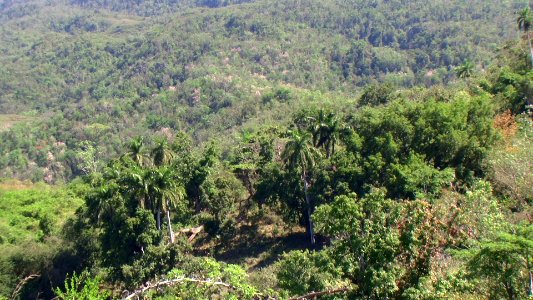 CUBA. ESCAMBRAY (1)