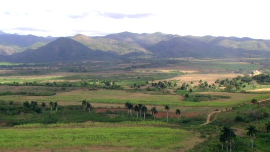 CUBA. ESCAMBRAY (4)