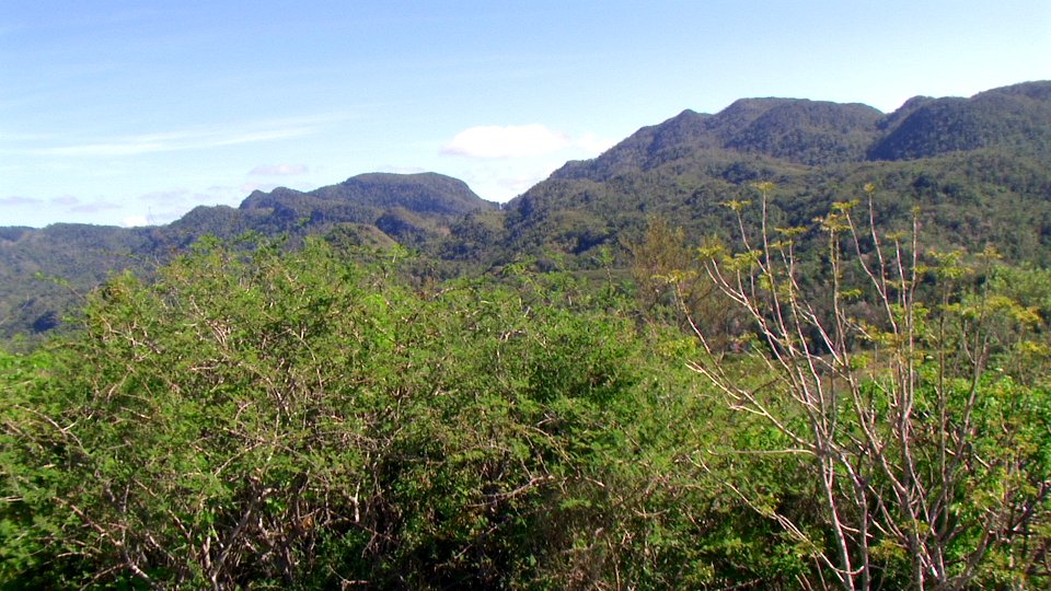 CUBA. ESCAMBRAY (9)