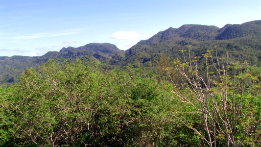 CUBA. ESCAMBRAY (9)