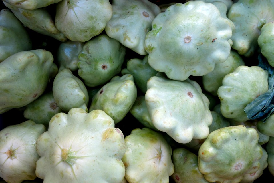 Cucurbita pepo scallop group - Farmer's Market at the Ferry Building - San Francisco, CA - DSC03567