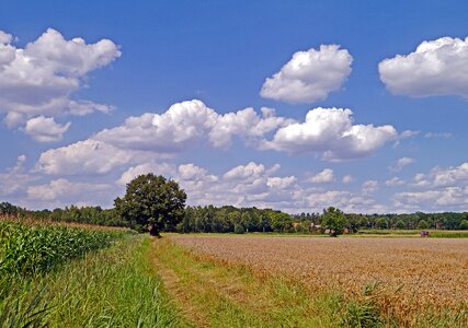 Clouds arable cereals photo