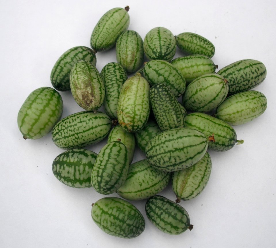 Cucamelons