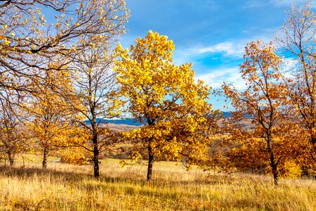 Travel tourism mountain photo