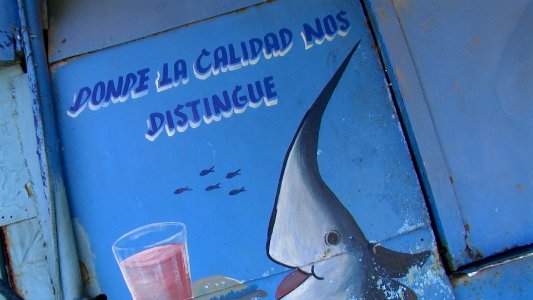 CUBA. COJIMAR (15)