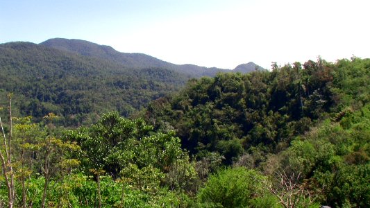 CUBA. ESCAMBRAY (10)