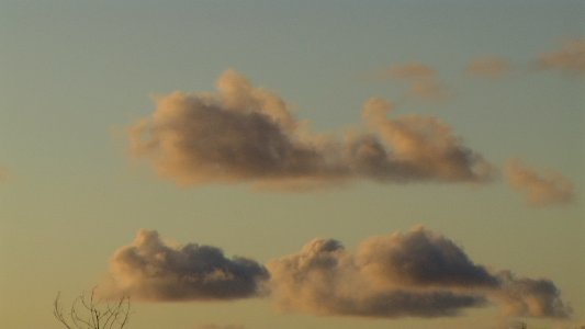 CUBA. COUCHANTS (6)