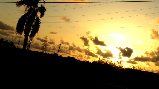 CUBA. COUCHANTS (1)