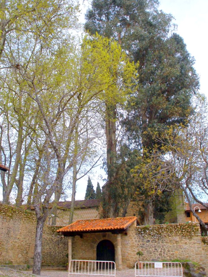 Cuacos de Yuste - Monasterio de San Jerónimo de Yuste 12