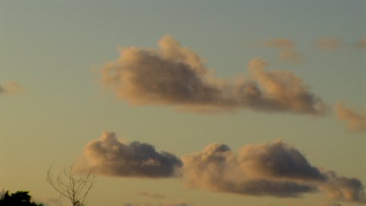 CUBA. COUCHANTS (5)